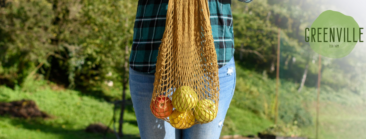 Osnaživanje mladih umova: Radionica o zelenom poduzetništvu na Greenville eko edukacijskom imanju